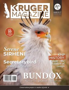 Kruger Magazine – Spring 2021