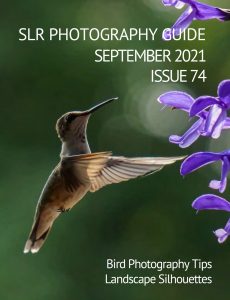 SLR Photography Guide – September 2021