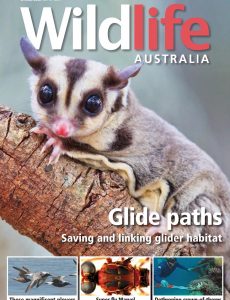 Wildlife Australia – Volume 57 No 3 – Spring 2020