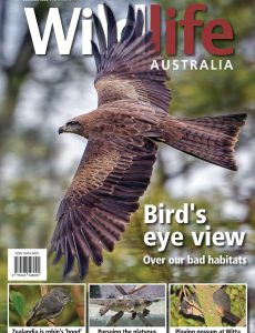 Wildlife Australia – Volume 57 No 4 – Summer 2020