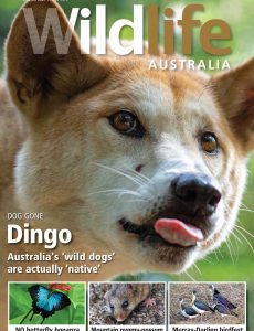 Wildlife Australia – Volume 58 No 2 – Winter 2021