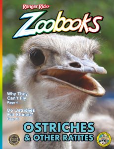 Zoobooks – September 2021