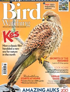 Bird Watching UK – November 2021