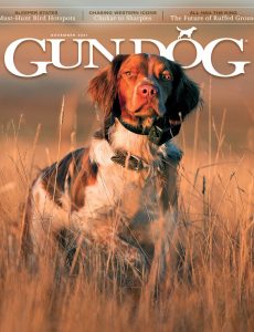 Gun Dog – November 2021