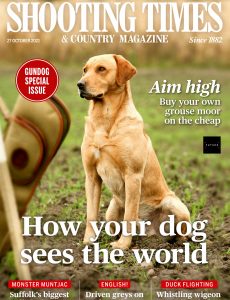 Shooting Times & Country – 27 October 2021