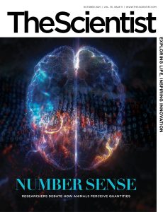The Scientist – October 2021