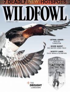 Wildfowl – November 2021