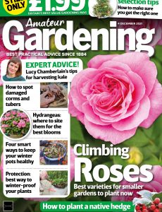 Amateur Gardening – 04 December 2021