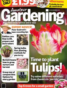 Amateur Gardening – 13 November 2021