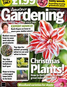 Amateur Gardening – 20 November 2021