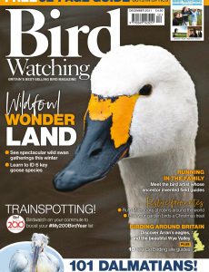 Bird Watching UK – December 2021