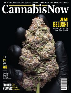 Cannabis Now – Issue 42 – November-December 2021