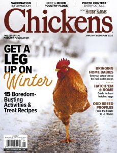 Chickens – January-February 2022