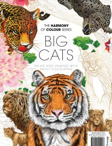Colouring Book Big Cats – 2021