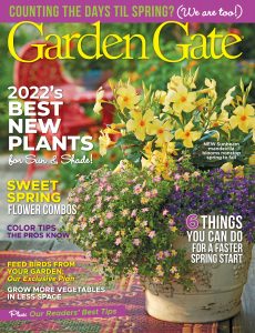 Garden Gate – January 2022