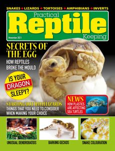 Practical Reptile Keeping – November 2021