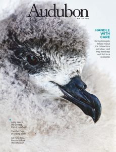 Audubon Magazine – Winter 2021