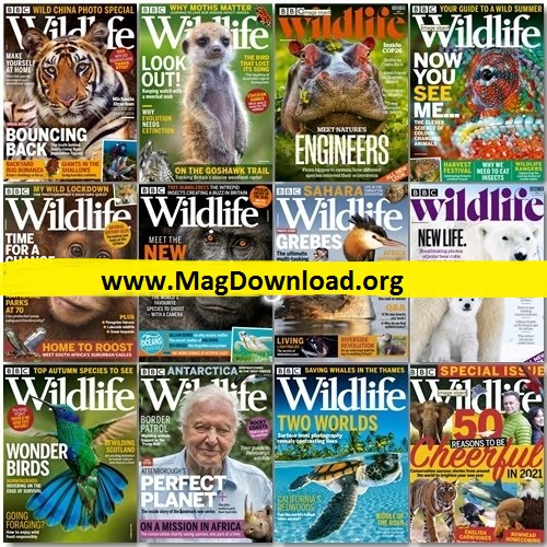 BBC Wildlife - Full Year 2021 Issues Collection