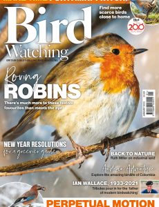 Bird Watching UK – January 2022