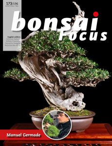 Bonsai Focus (English Edition) – November-December 2021