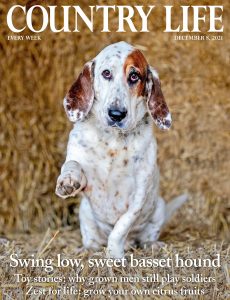 Country Life UK – December 08, 2021