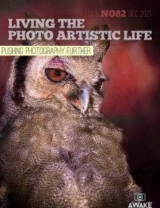 Living The Photo Artistic Life – December 2021