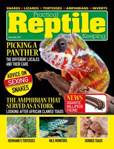 Practical Reptile Keeping – December 2021