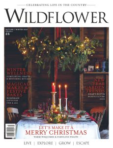 Wildflower Magazine – December 2021