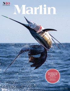 Marlin – February 2022