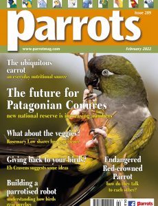 Parrots – February 2022