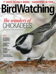 BirdWatching USA – April 2022