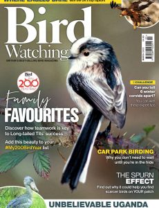 Bird Watching UK – March 2022