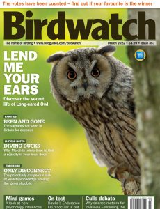 Birdwatch UK – March 2022