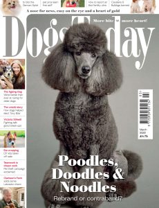 Dogs Today UK – March 2022