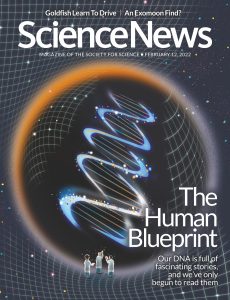 Science News – 12 February 2022