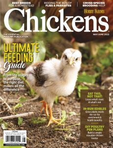 Chickens – May-June 2022