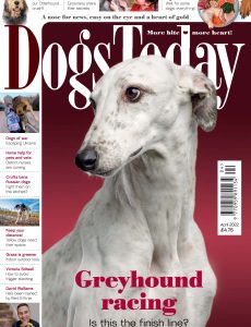 Dogs Today UK – April 2022