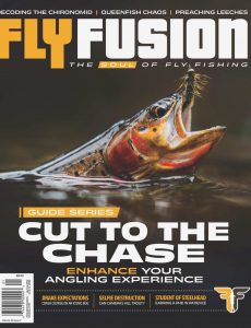 Fly Fusion – Spring 2022