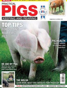 Practical Pigs – Spring 2022