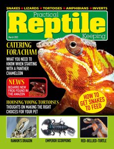 Practical Reptile Keeping – March 2022