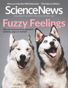Science News – 9 April 2022