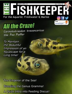The Fishkeeper – March-April 2022