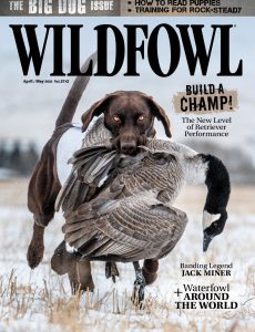 Wildfowl – April-May 2022