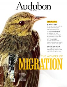 Audubon Magazine – Spring 2022