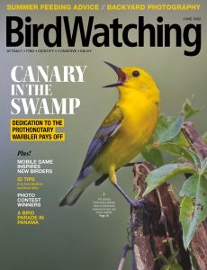 BirdWatching USA – June 2022