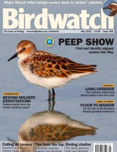 Birdwatch UK – May 2022