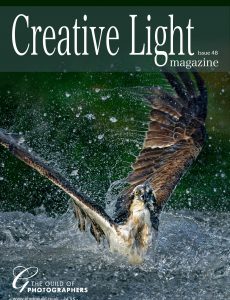 Creative Light – Issue 48 2022