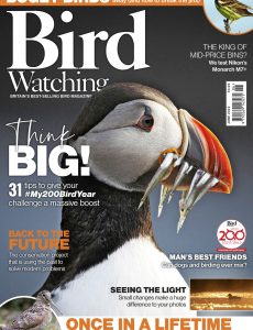 Bird Watching UK – June 2022