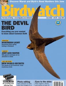Birdwatch UK – June 2022