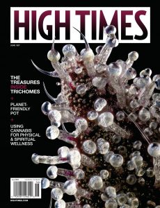 High Times – June 2022